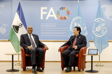 fao 1