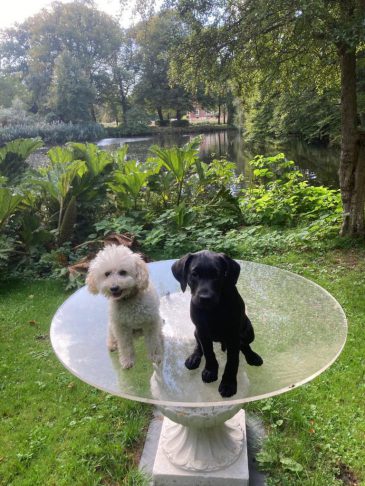 557837068_1137632485127701_1501421314948661266_n