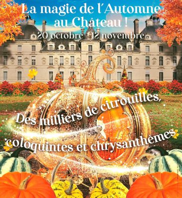 558115529_1207735608052118_3311269980717492902_n 558115529_1207735608052118_3311269980717492902_n