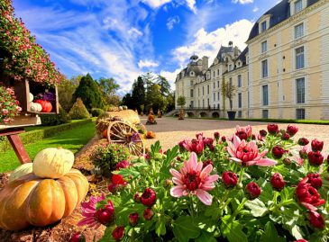 571640071_1227662799392732_8949171255848011931_n