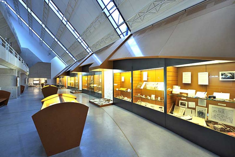 da47409fe7064f6de462b984da80c280-Musee-d-art-et-d-histoire-langres-salle-archeologie-01-Philippe-Lemoine-Coll-MDT-52-Mairie-Langres-2-0x475