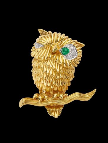 574323009_1202804938546493_5050176530864455839_n