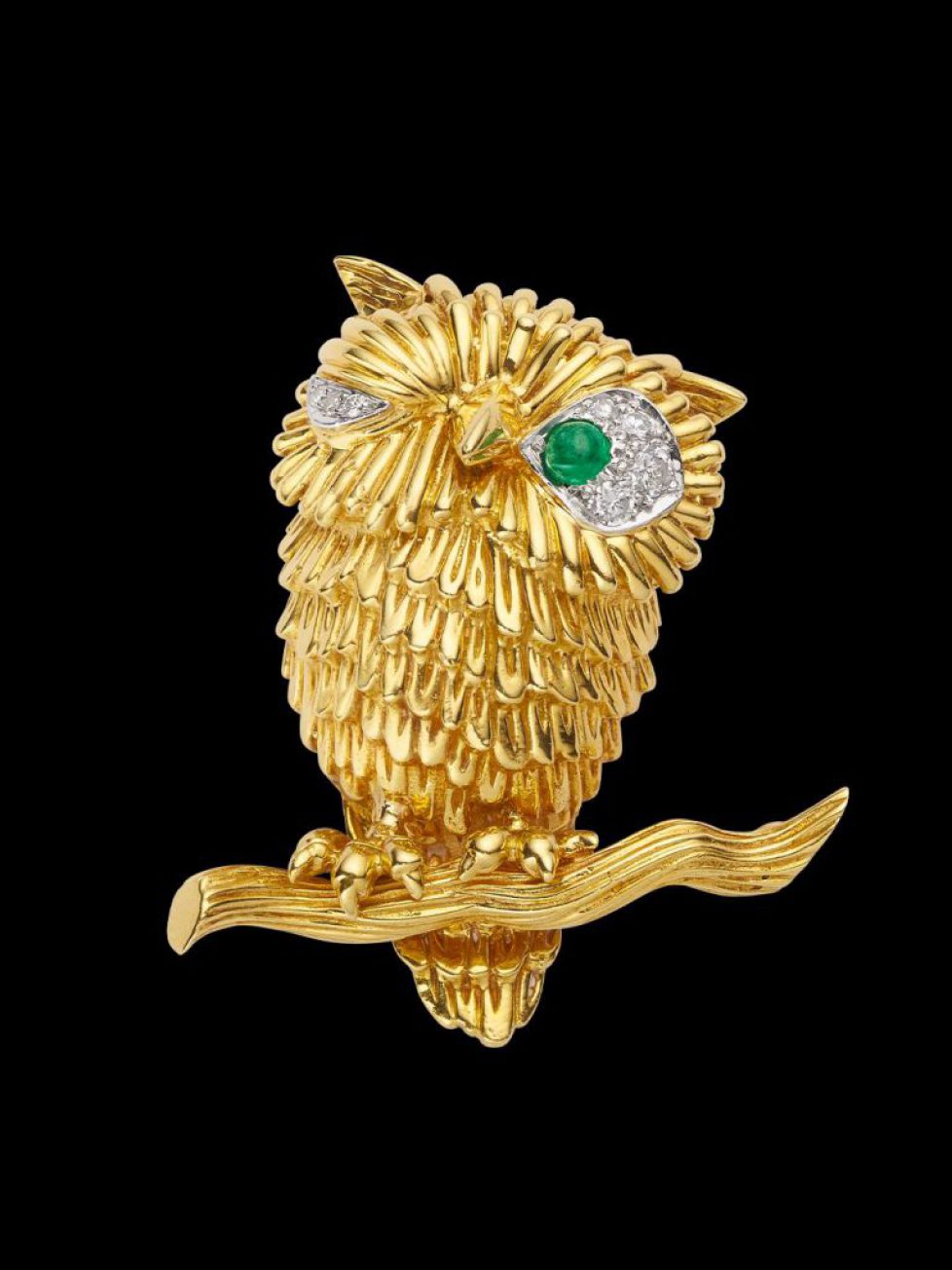 574323009_1202804938546493_5050176530864455839_n