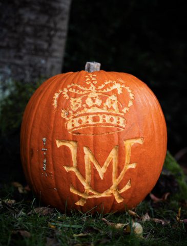 574347229_1409989053832301_2111774915822310467_n