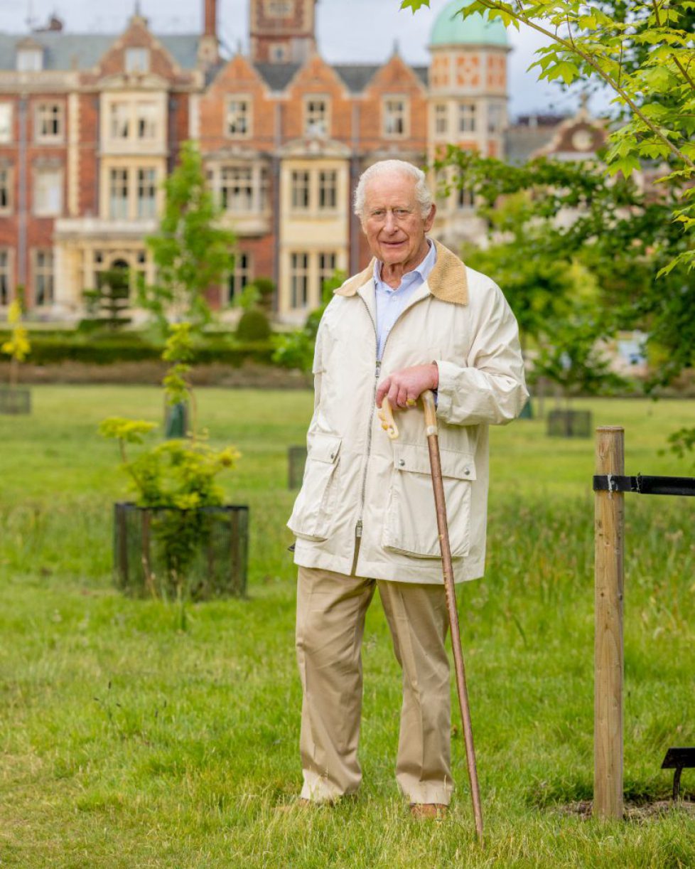 577038875_1406728461011569_6468049657785790270_n