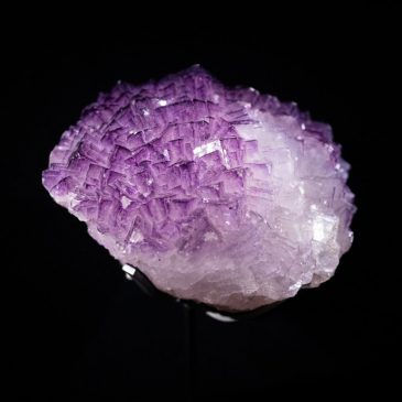 577413450_1209125064581147_3858564465058957215_n