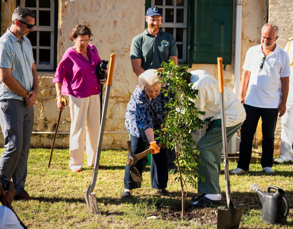 587846294_1179363084287974_5101331912202240985_n