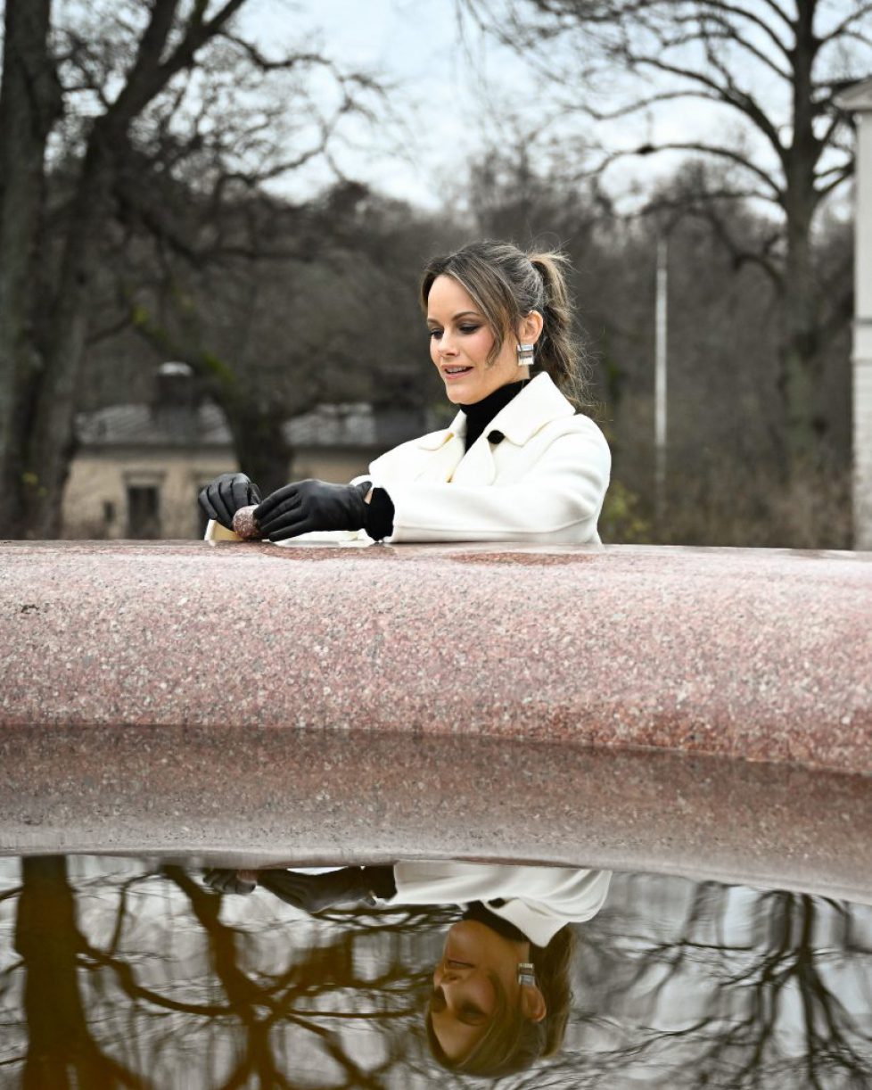 594984098_1393666225464827_2402461920115616611_n