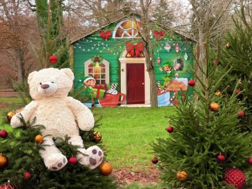 595551526_1265426615616350_7860135526418770052_n