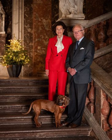 603793001_1410720807092702_4340075139321014586_n