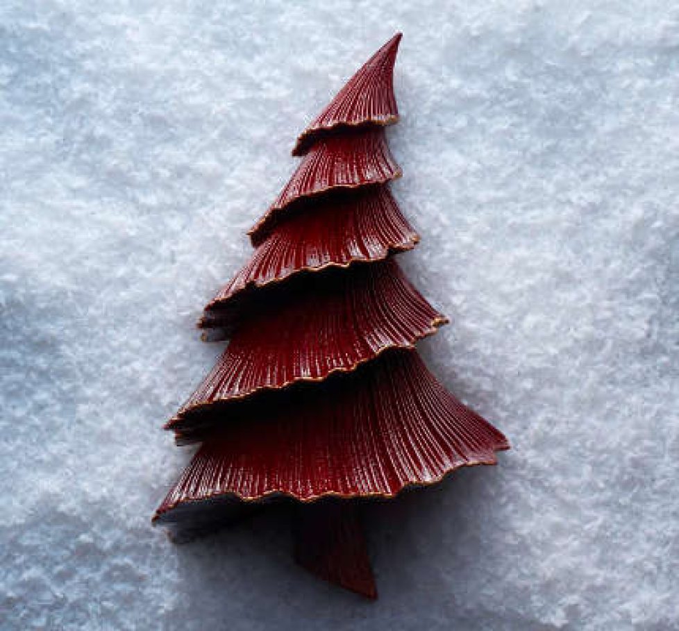 bristol-noel-2025-buche