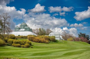 645441367_1247422397575382_3183712520699275888_n