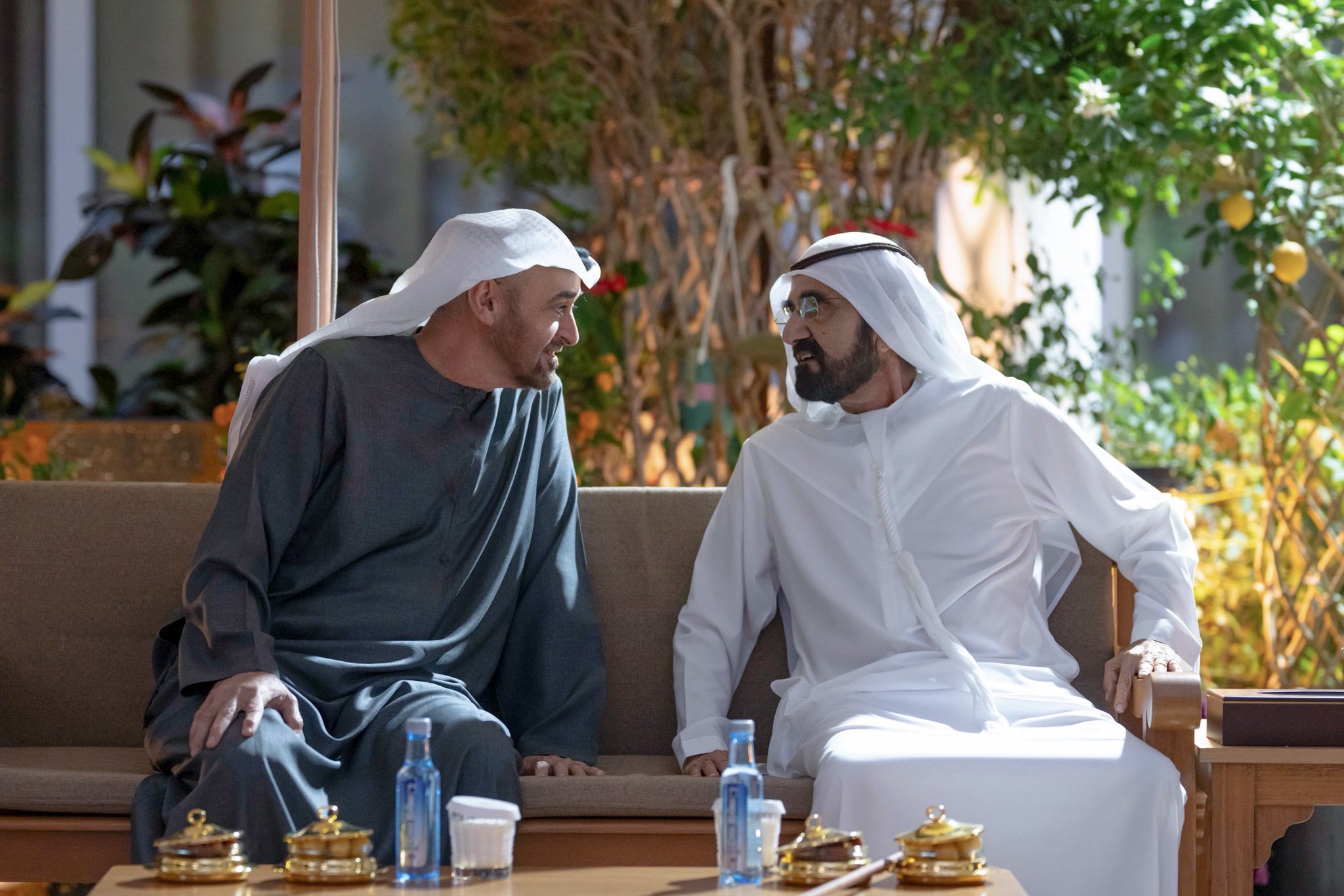 649223485_1485609979593165_6707550631101620860_n