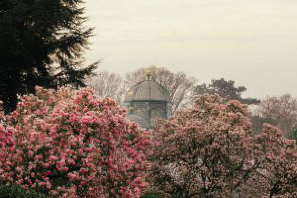 652626309_1259310166386605_7394321113876712468_n