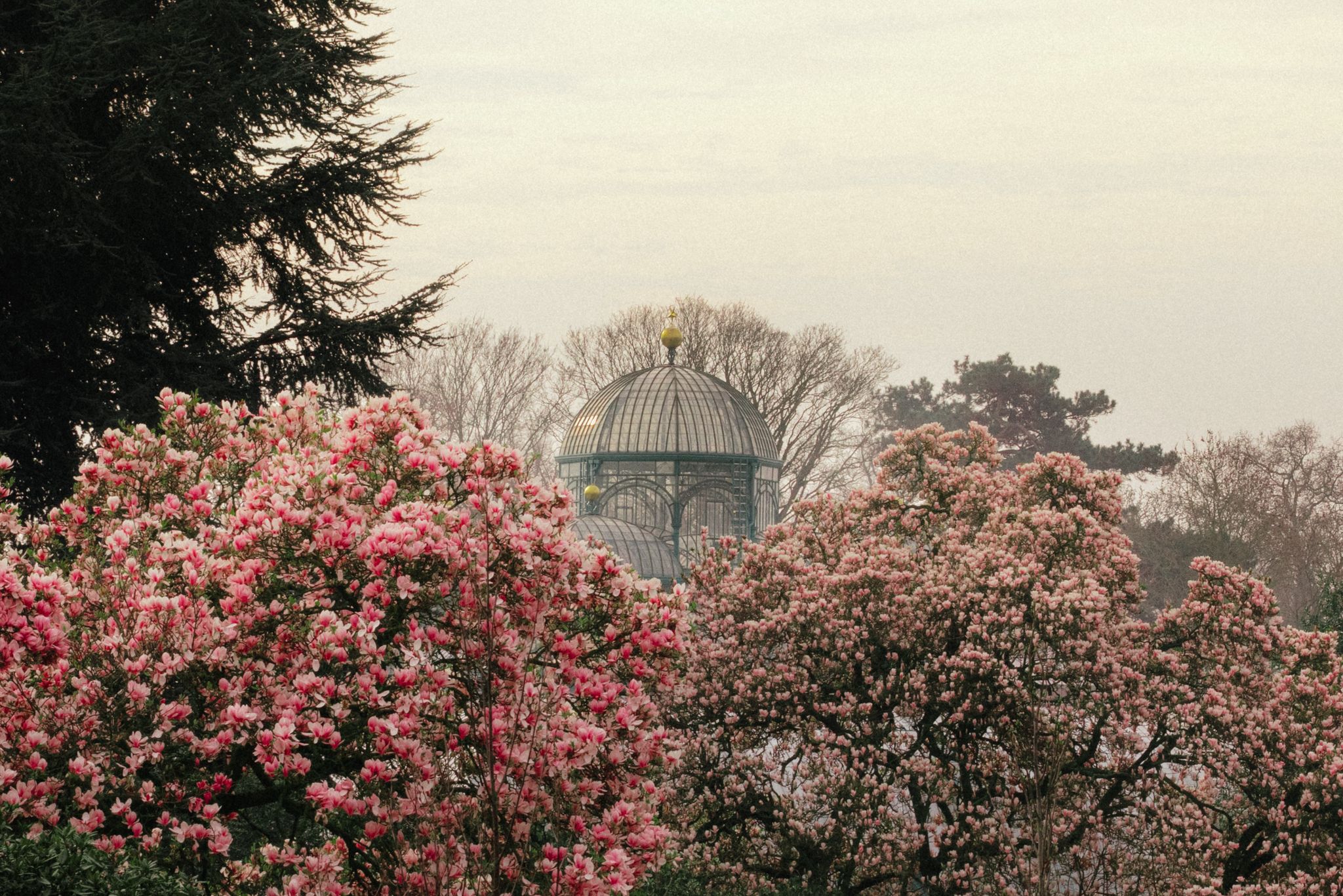 652626309_1259310166386605_7394321113876712468_n