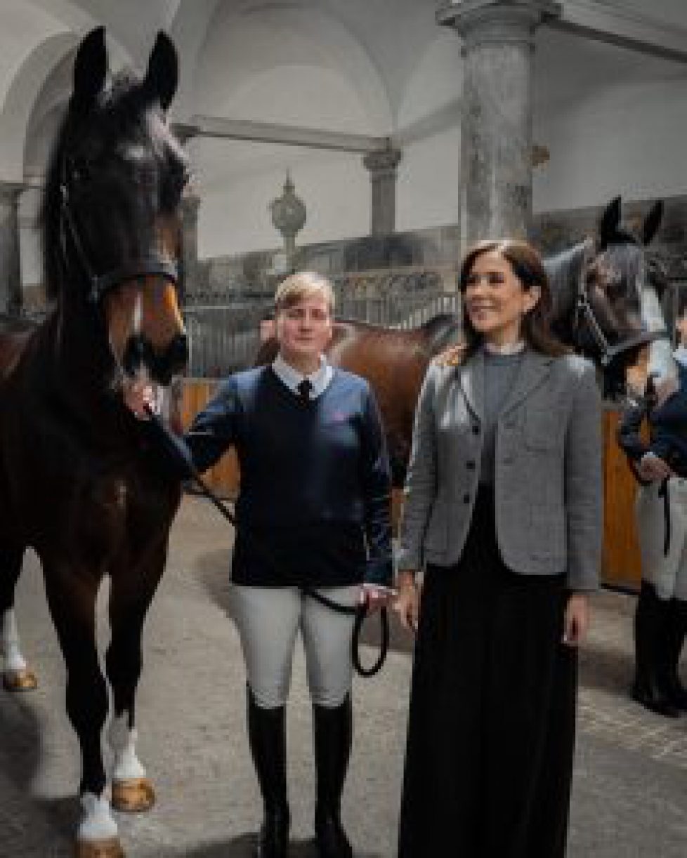 660381893_1529128478585024_5087770266506927117_n