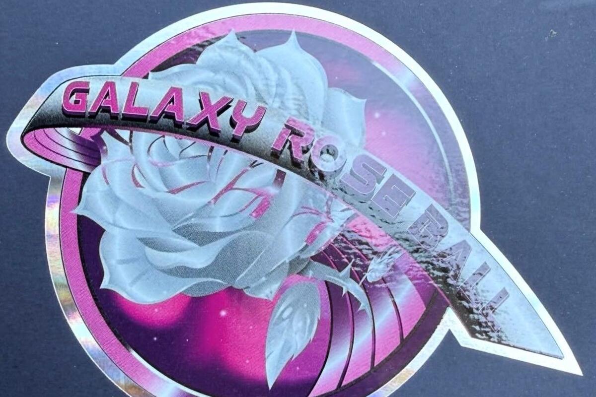 OG-10671668-1200-800-26b6416_upload-1-h6tawodboazf-img-5620