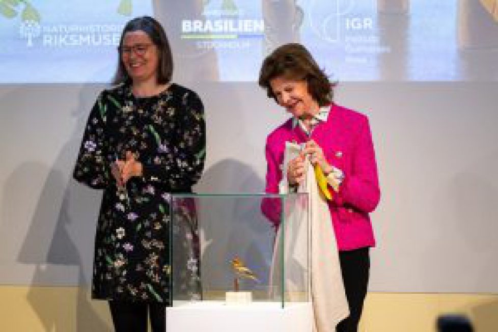 Queen Silvia of Sweden attends the opening of the exhibition ”Birds of Brazil”