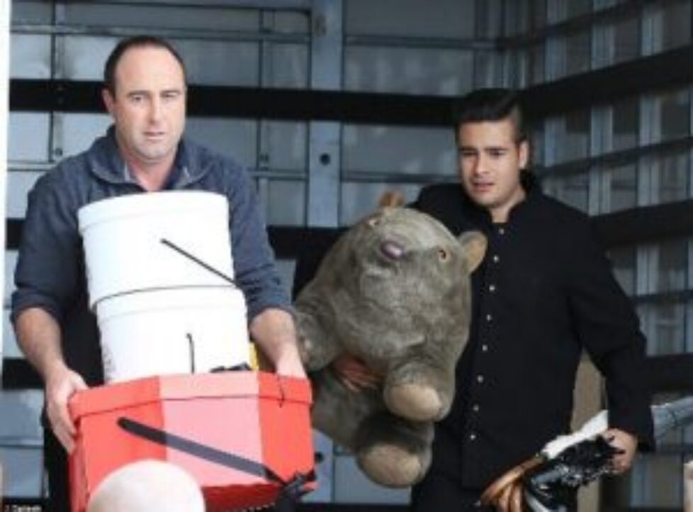 Un wombat à Kensington Palace