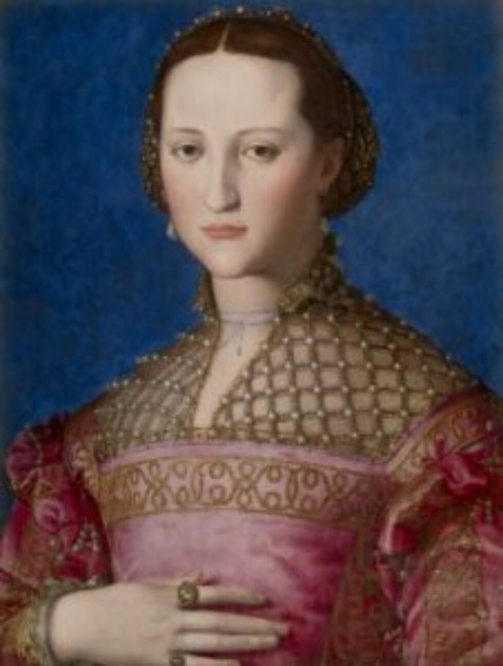 bronzino_eleonora_di_toledo_-_prague