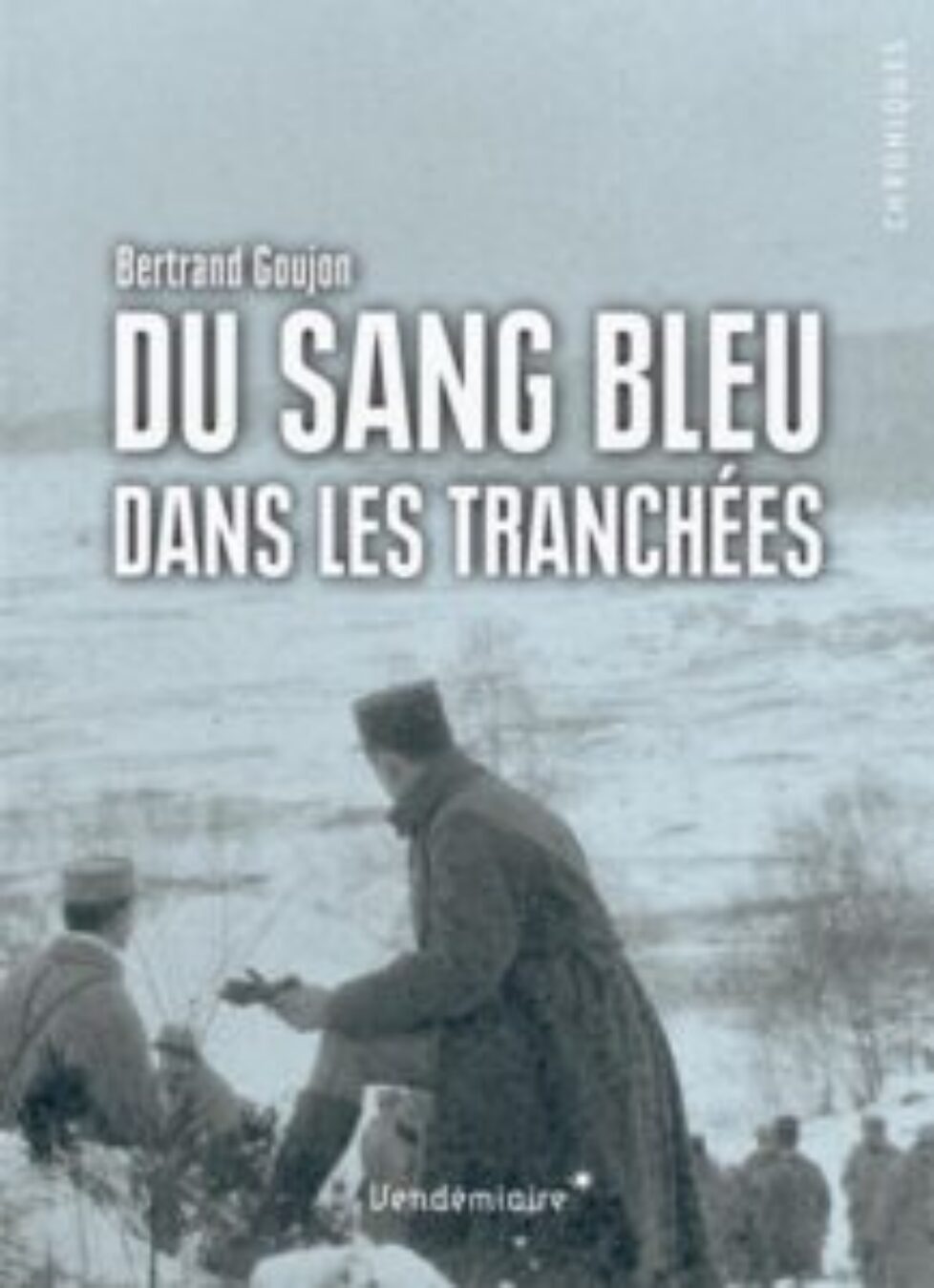 couv-SangBleu-01