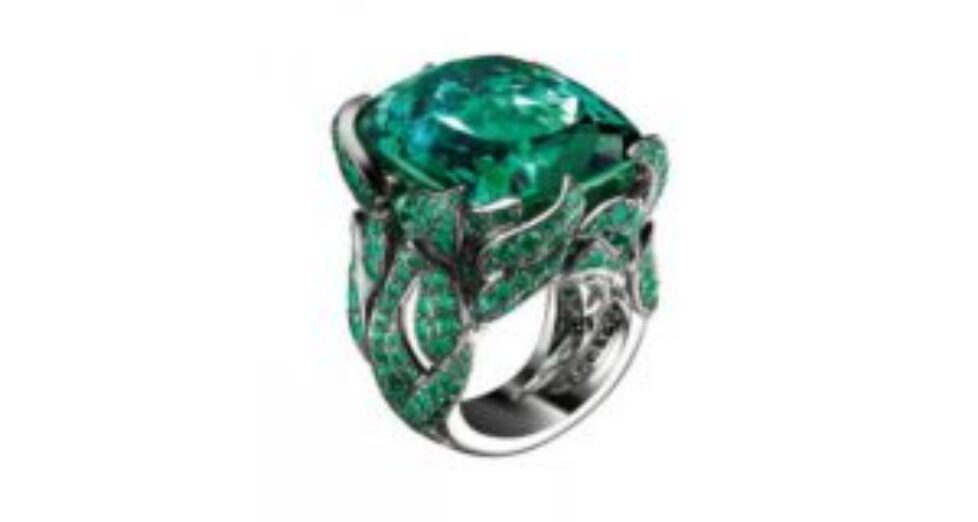 (2a) Brigitte Ermel Bague Jardin de Rêve copie