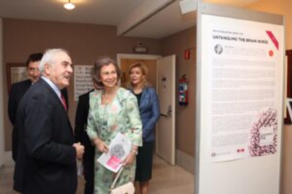 Reina_Colegio_Médicos_20150928_004