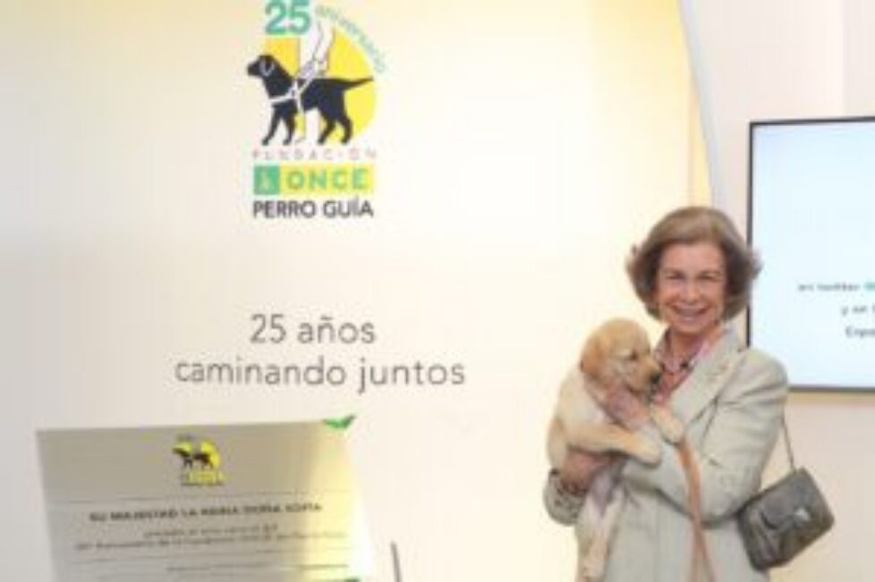 reina_sofia_perros_guia_20150924_01