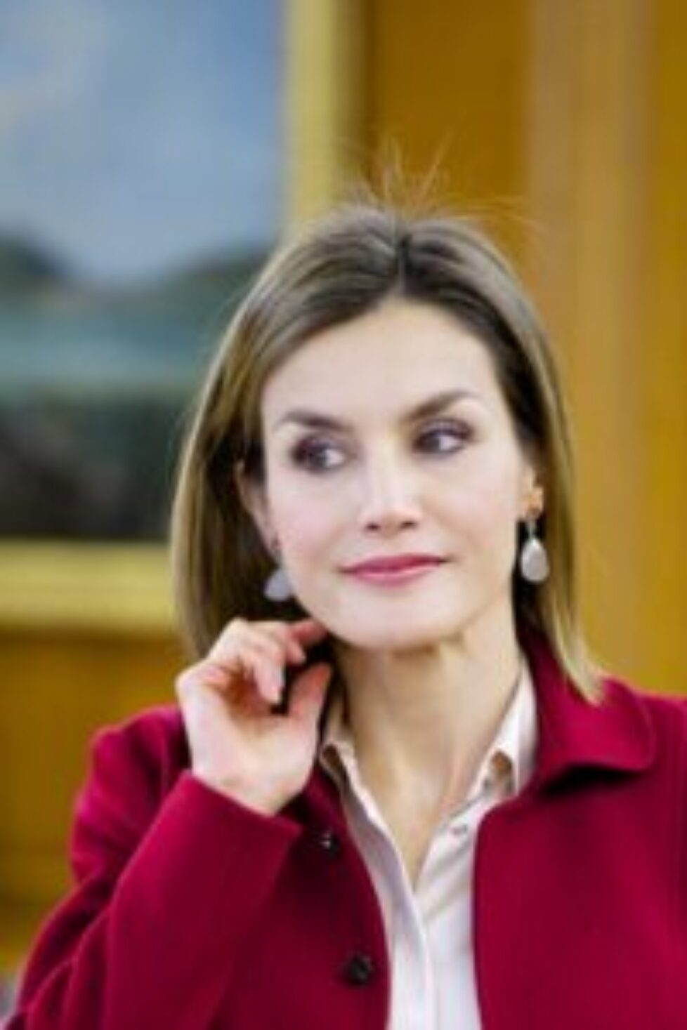 Queen+Letizia+Spain+Attend+Audiences+Zarzuela+a3GW1AdFpokl
