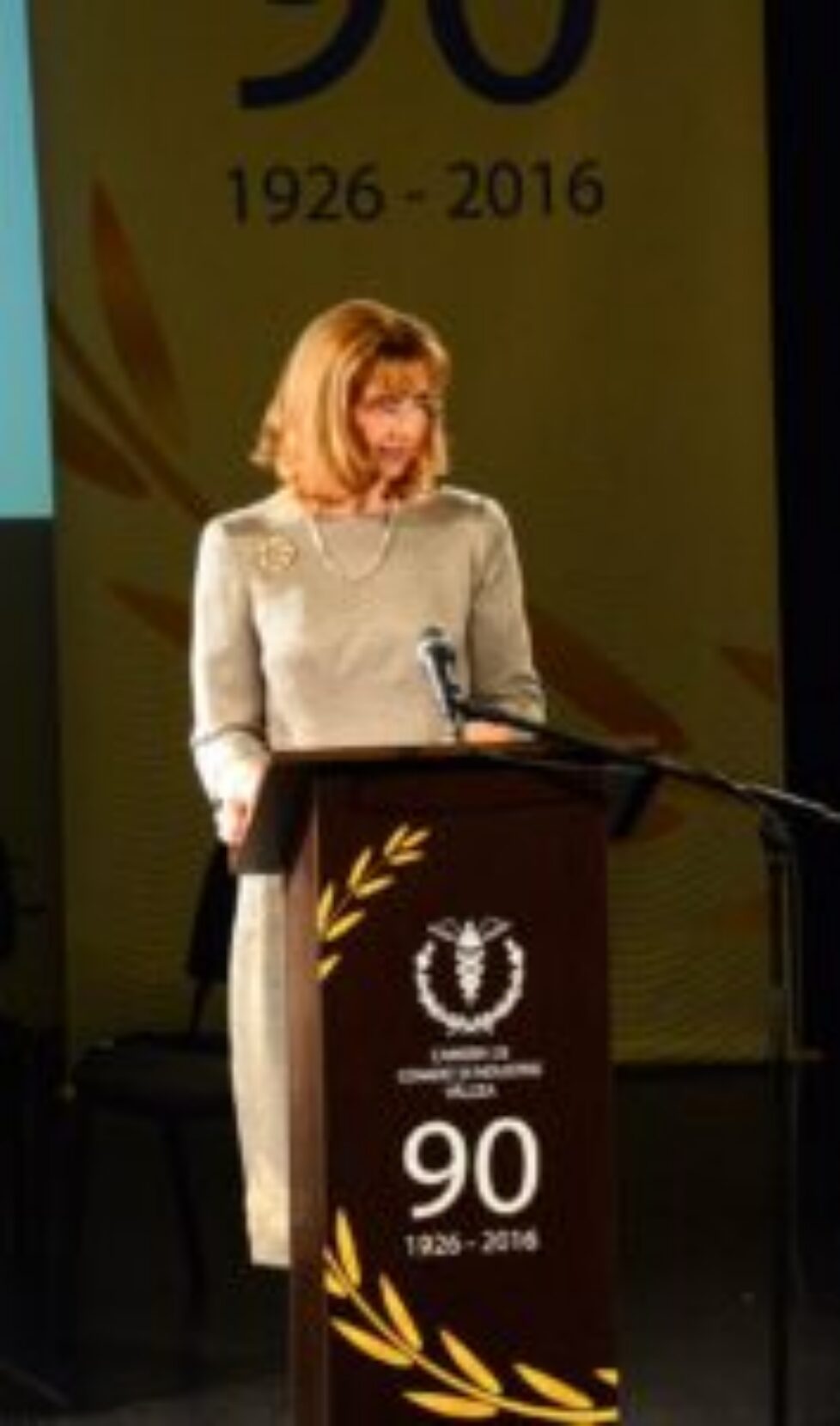 Camera-de-Comerț-și-Industrie-Vâlcea-90-de-ani-de-la-înființare-Teatrul-Anton-Pann-Rm.-Valcea-13-februarie-2016-4