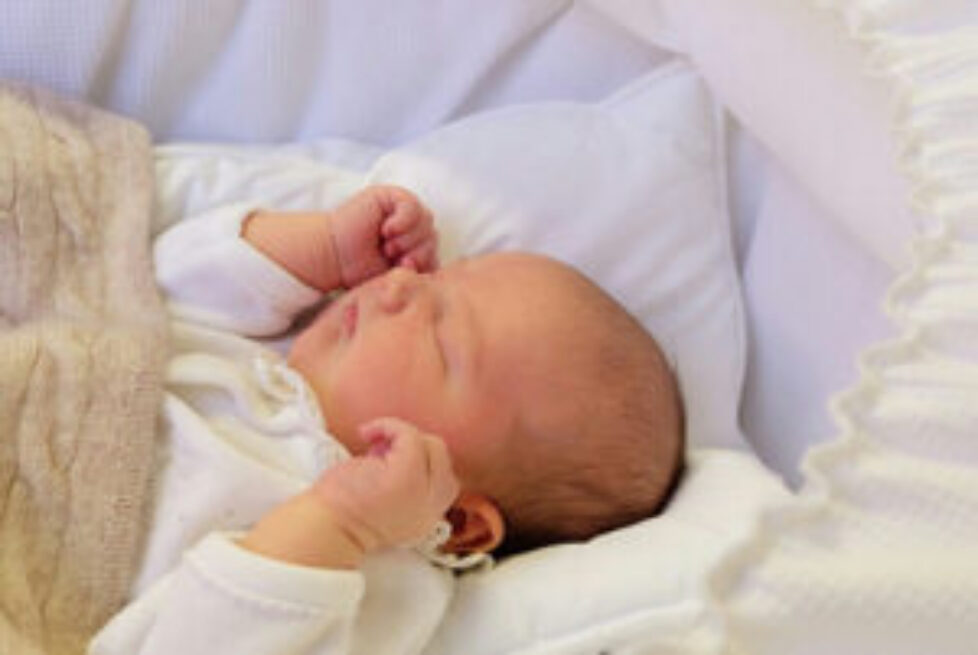 H.K.H. Prins Alexander / H.R.H. Prince AlexanderSweden