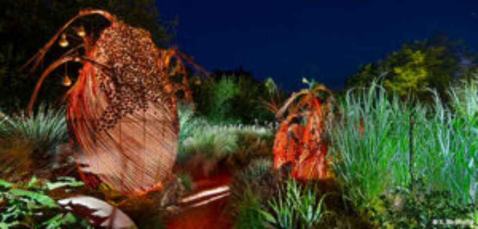 jardin-lumiere-2016