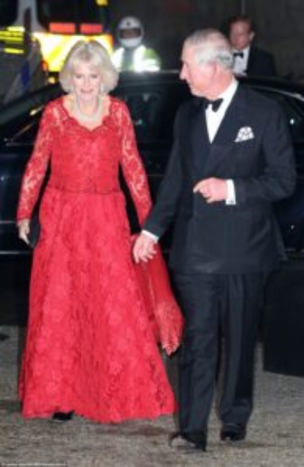 3b1c1dc600000578-4006924-the_duchess_of_cornwall_chose_a_glamorous_red_dress_for_the_roya-a-114_1481059333589