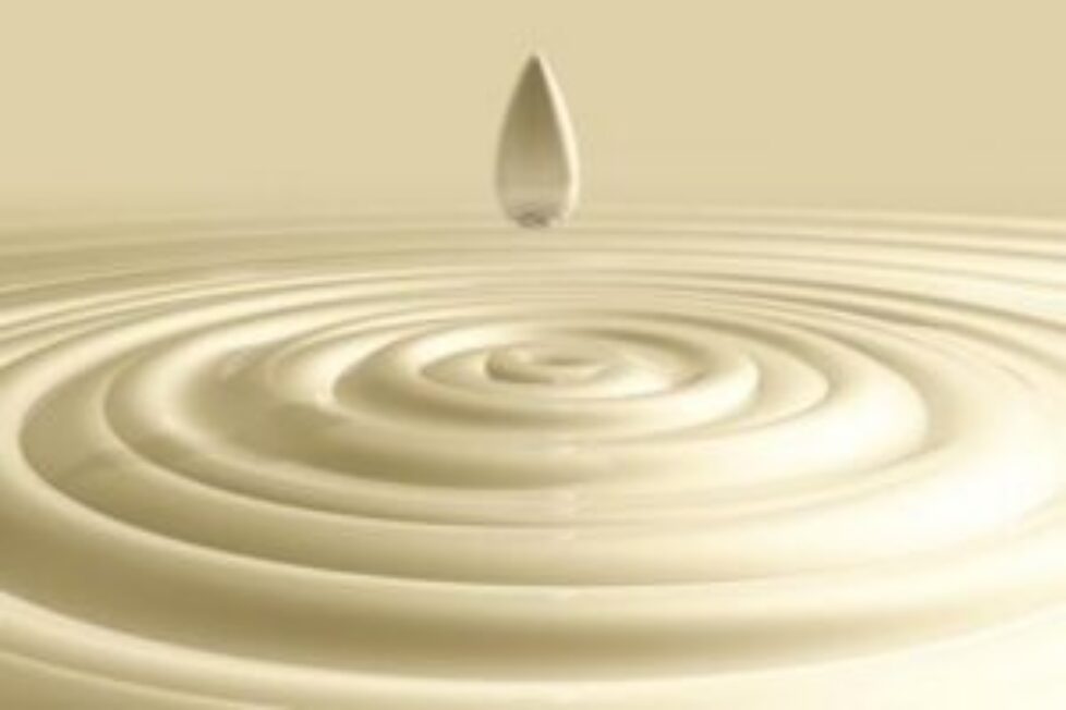 xles-bienfaits-du-lait-d-anesse.jpg.pagespeed.ic.Bo3iFFq8hp