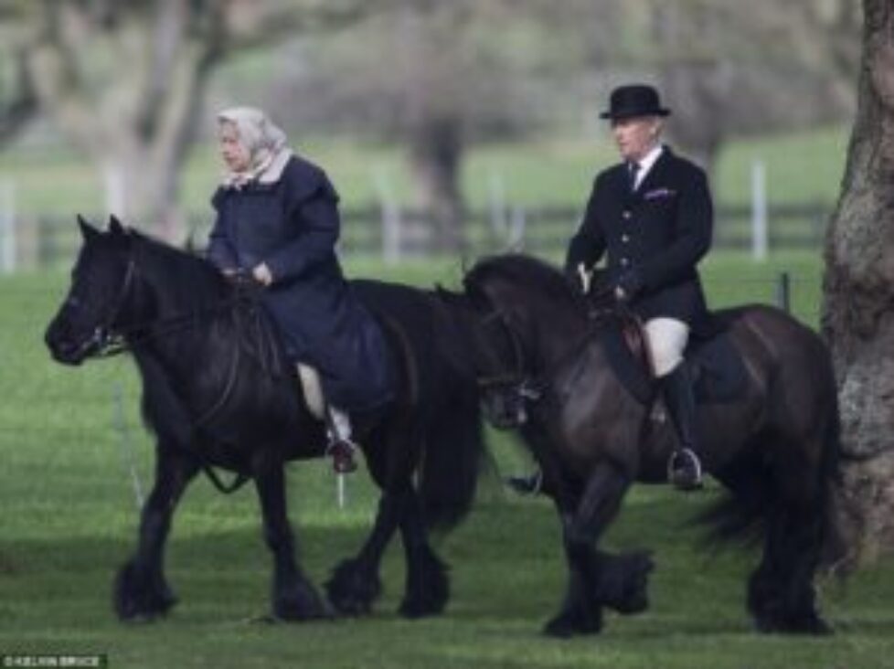 3E01E05B00000578-4285984-Favourite_past_time_The_Queen_is_believed_to_be_riding_her_belov-a-16_1488821916900