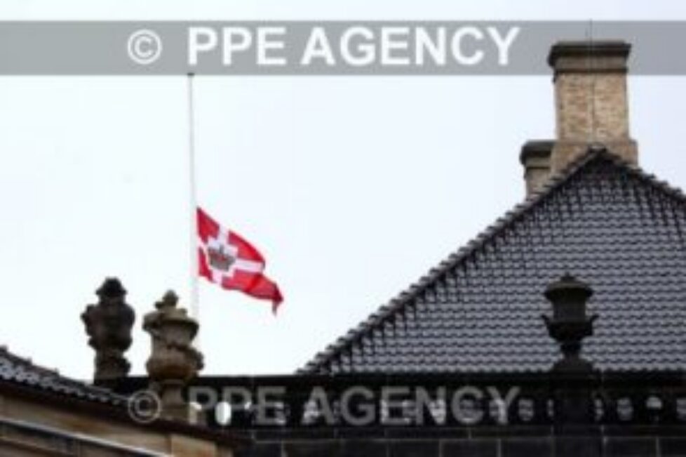 PPE17031402