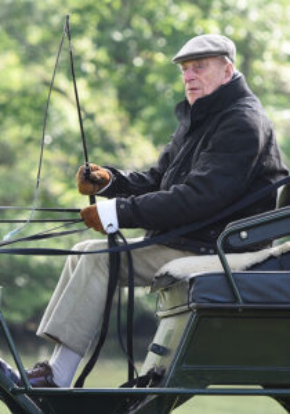 prince-philip-carriage-driving-windsor-a