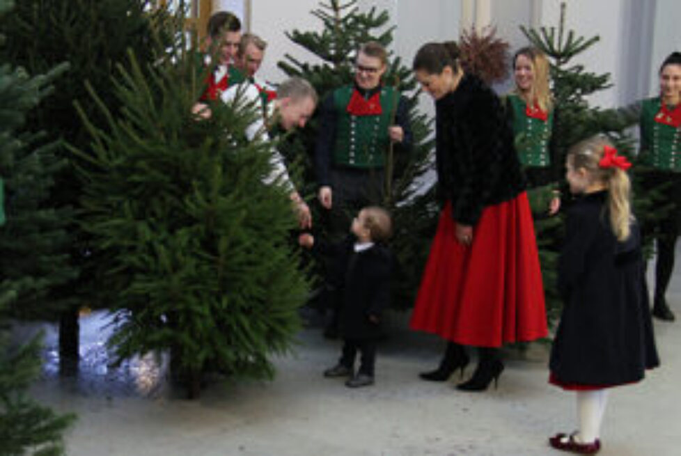 171214KRPRPREPROJulgranarfotoHGarlöv008