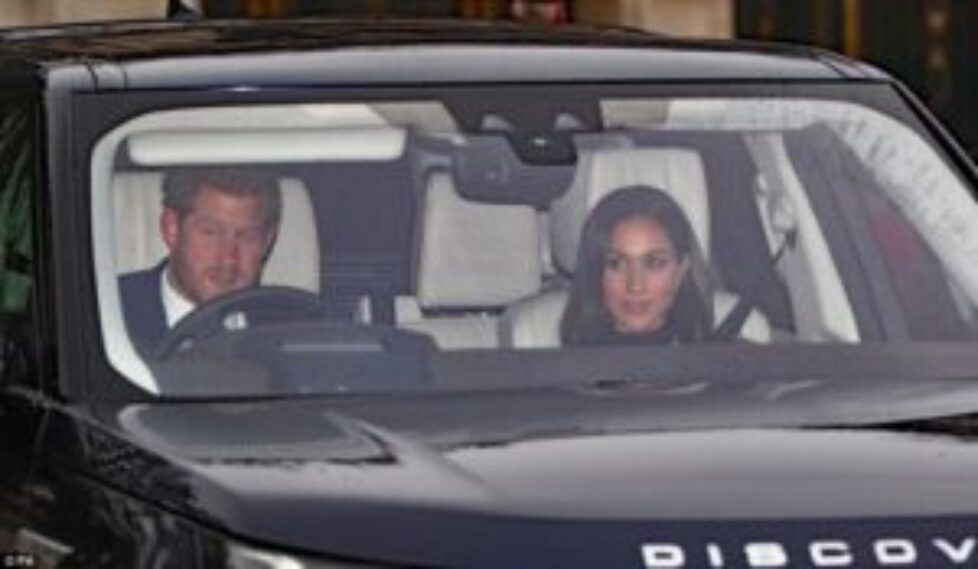 477A8B1C00000578-5198241-Meghan_looked_preened_to_perfection_for_her_visit_to_the_palace_-a-3_1513785764856