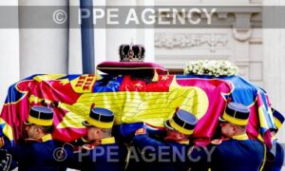 PPE17121651