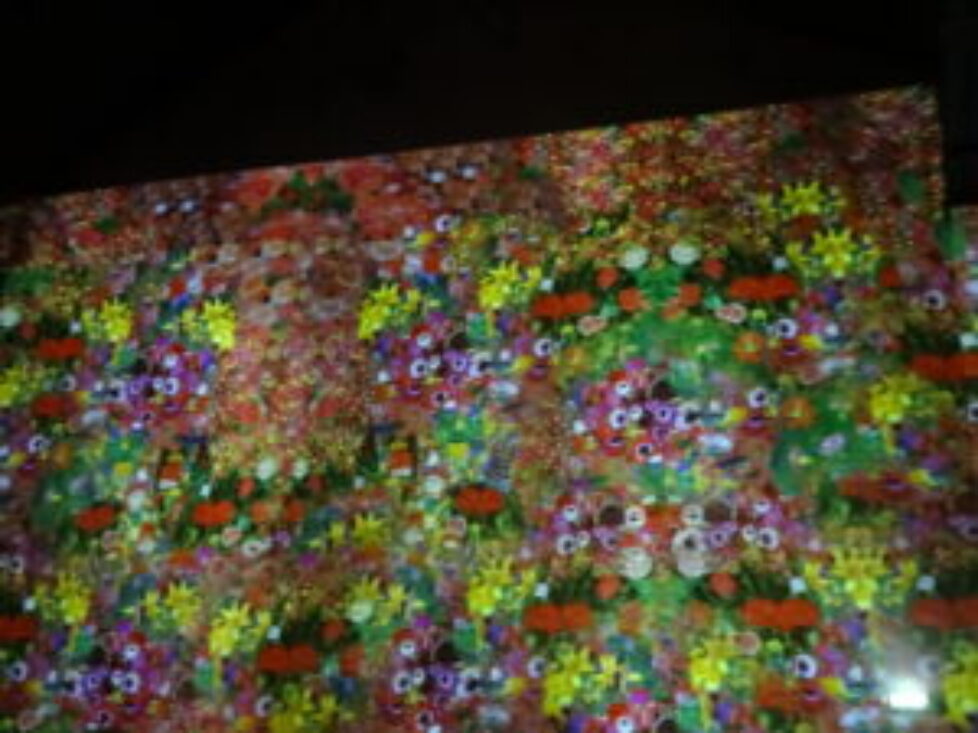 DSC01600