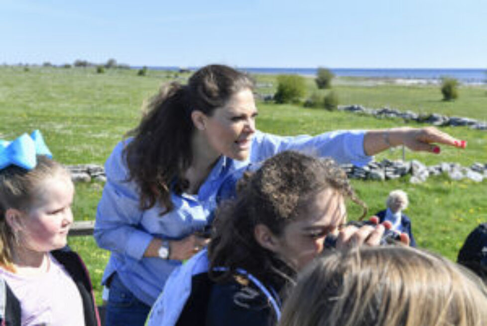 LANDSKAPSVANDRING ÖLAND