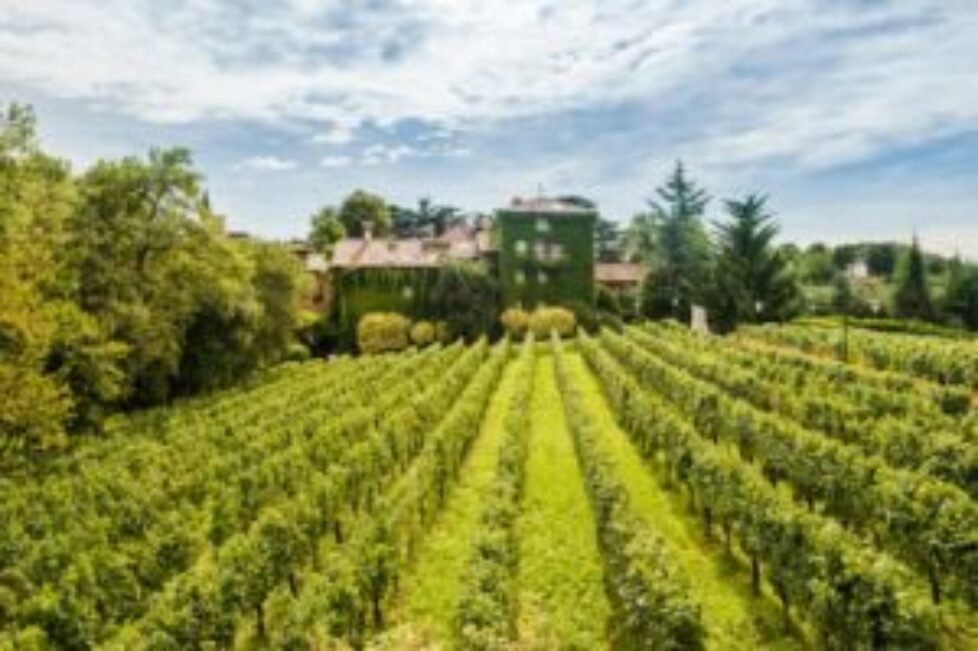 L’Albereta-Relais-Chateau-Review-–-Romantic-Vineyard-Resort