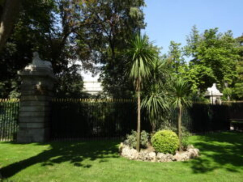 DSC01975