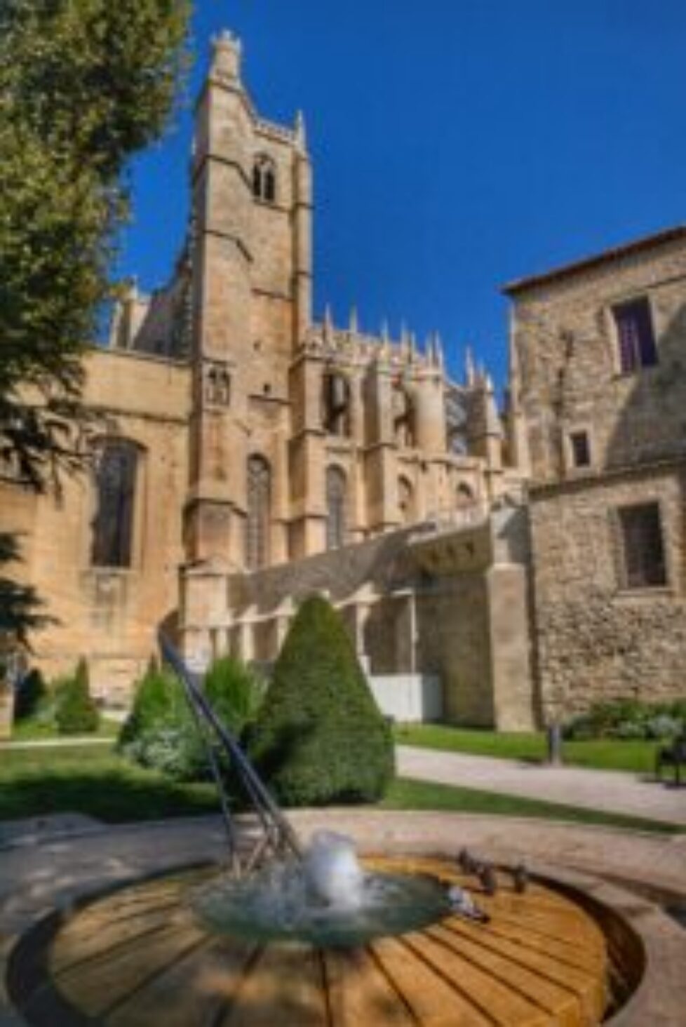 IMG_2919