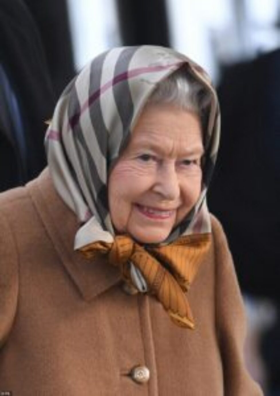 7662442-6516087-Festive_cheer_Wearing_a_Burberry_head_scarf_dark_camel_coat_and_-a-46_1545316929277