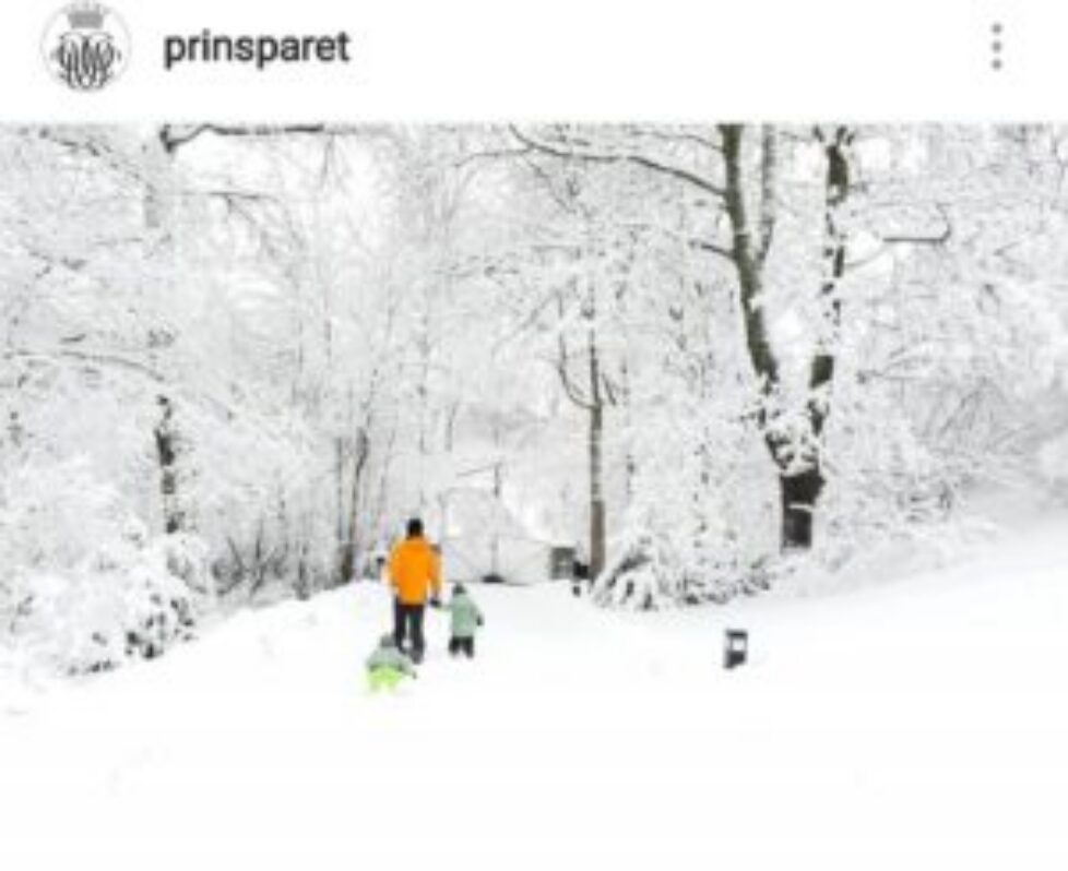 Image-1
