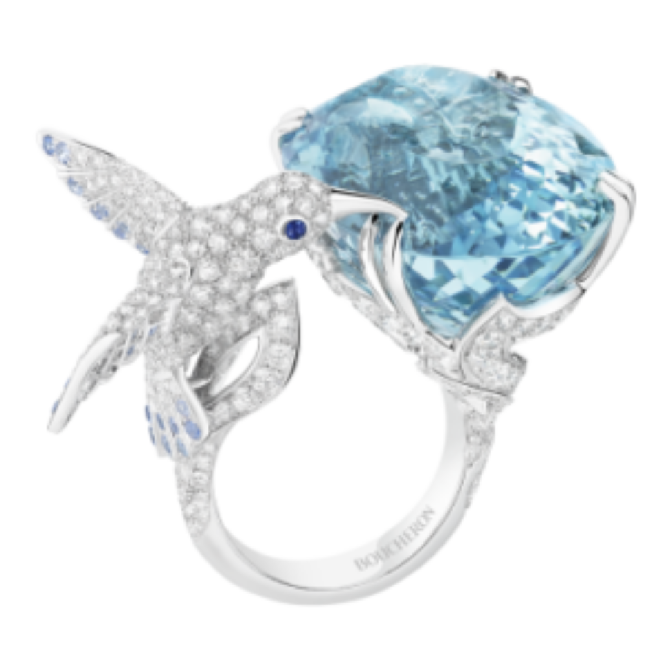jrg02488-rings-animaux-hopi_1