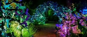 Promenade nocturne à Chaumont-sur-Loire