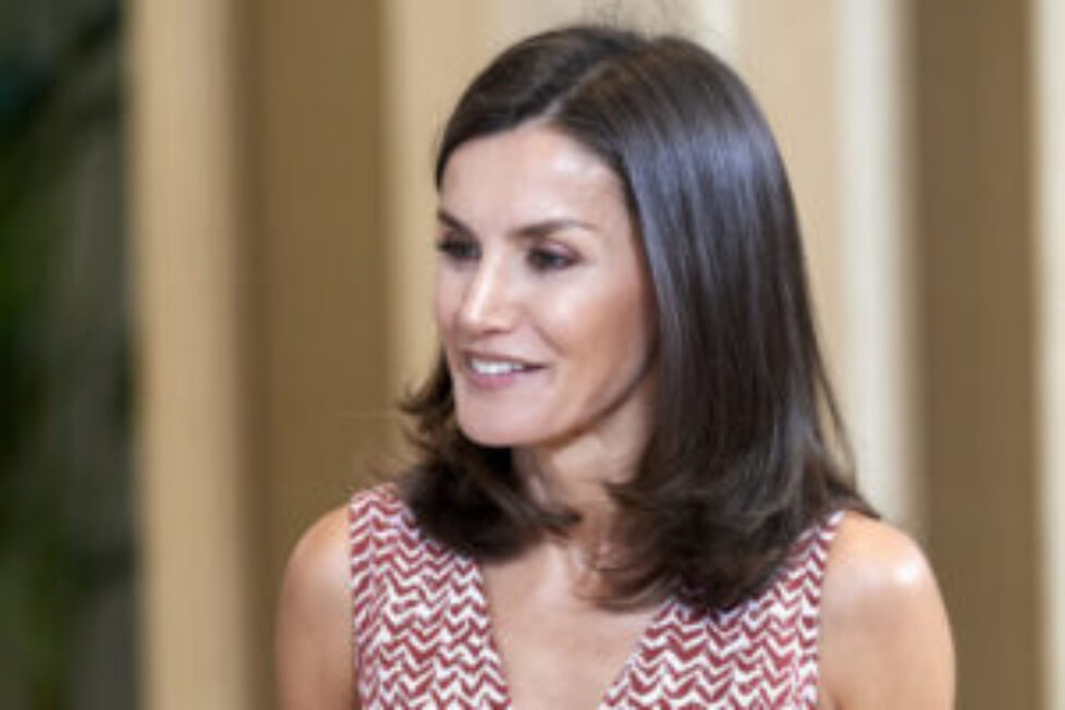 Queen+Letizia+Spain+Attend+Audiences+Zarzuela+9ECwpAdRNwel